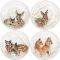 Тарелка для канапе детеныши диких животных в ассортименте набор 4 ШТ.., SOLOGNE, Д 16,3 см,, GIEN